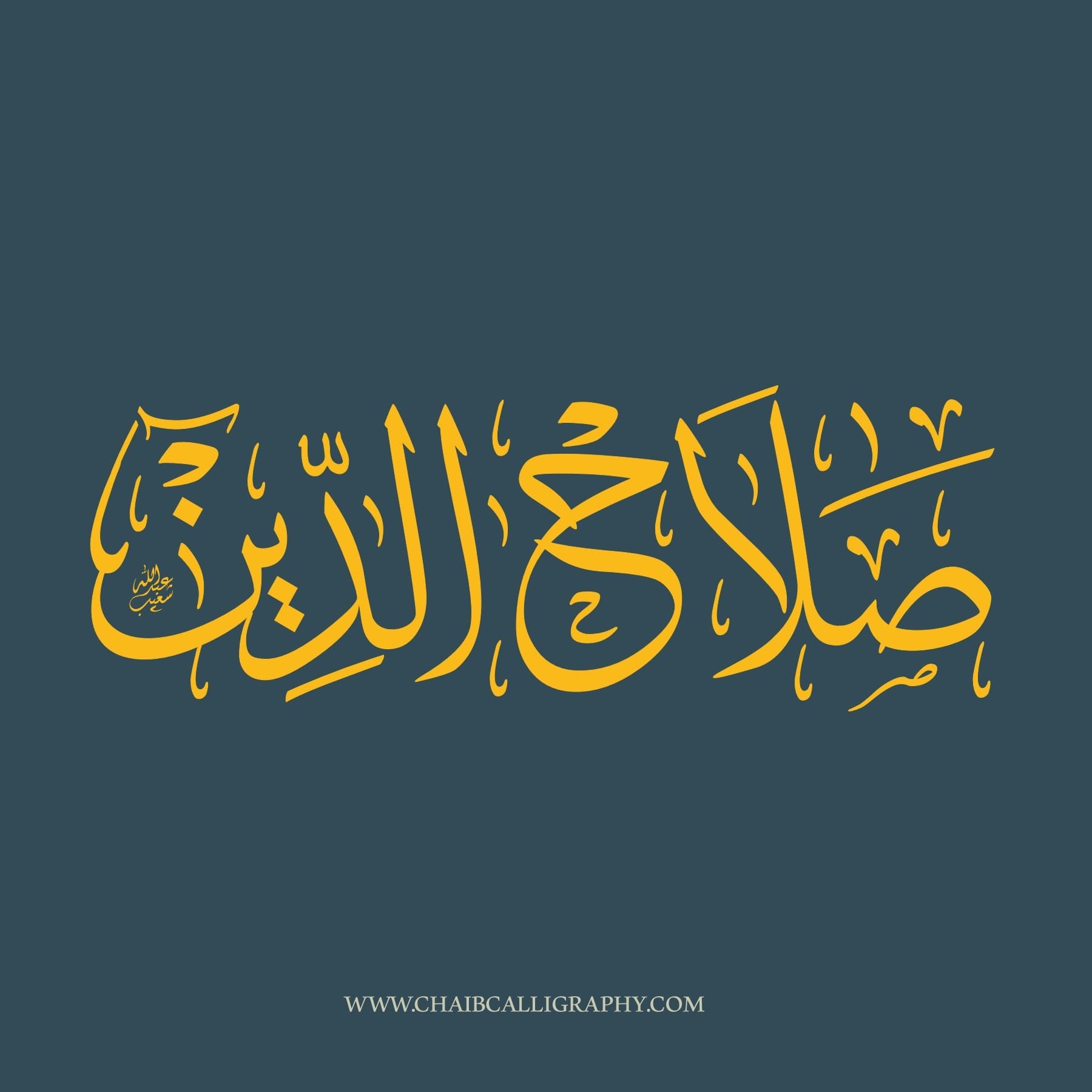 صلاح الدين