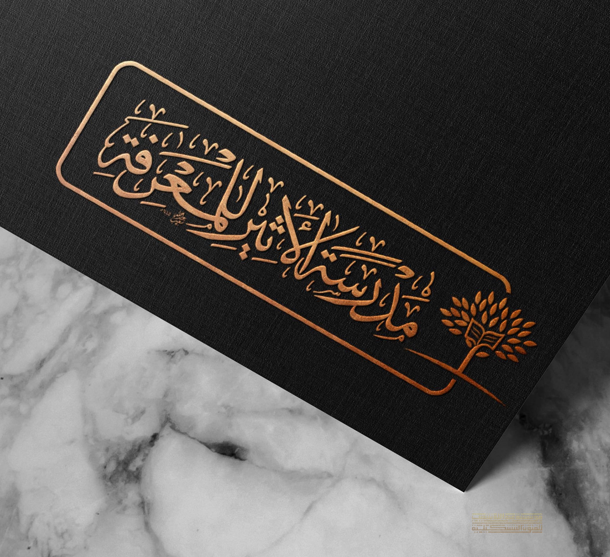 InShot 20231230 011547491